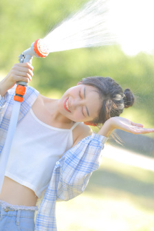 女人的抉择电视剧